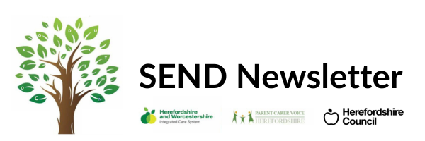 SEND Newsletter February 2025